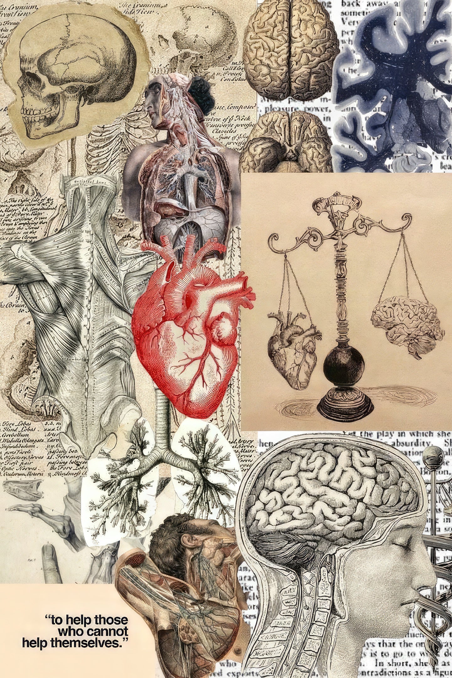 Collage