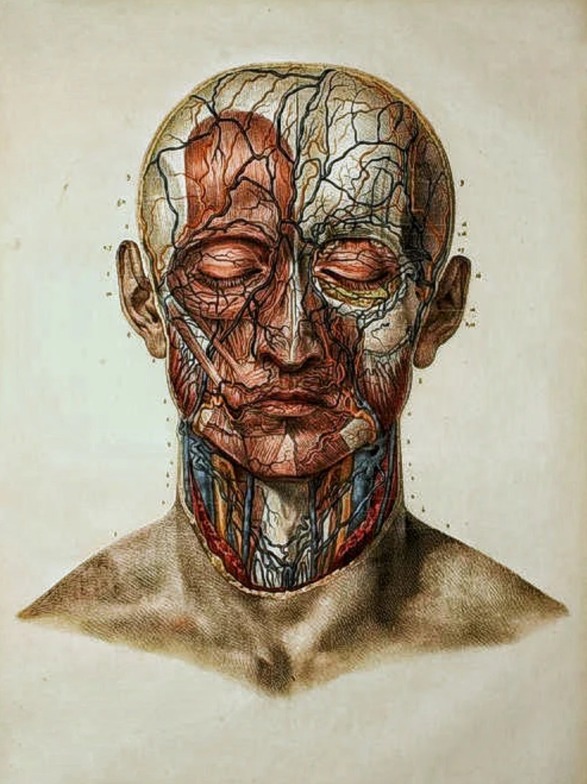 Médecine