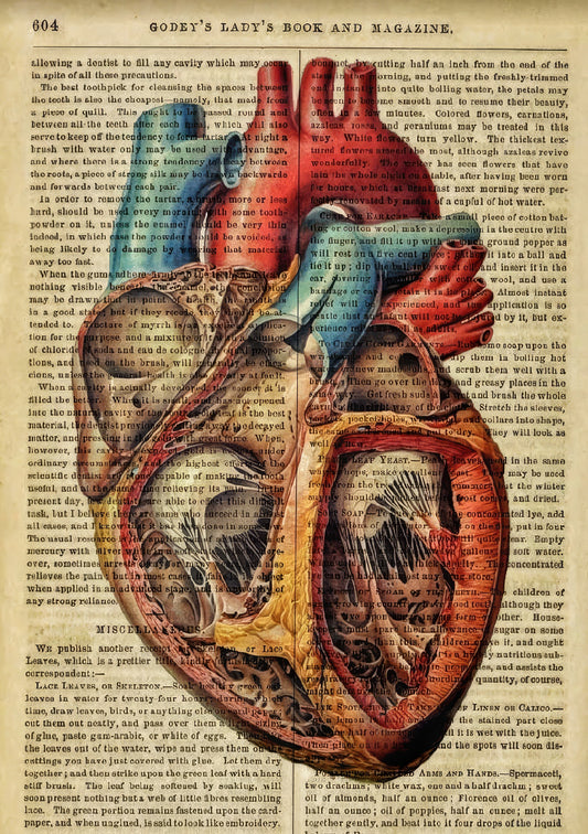 Coeur