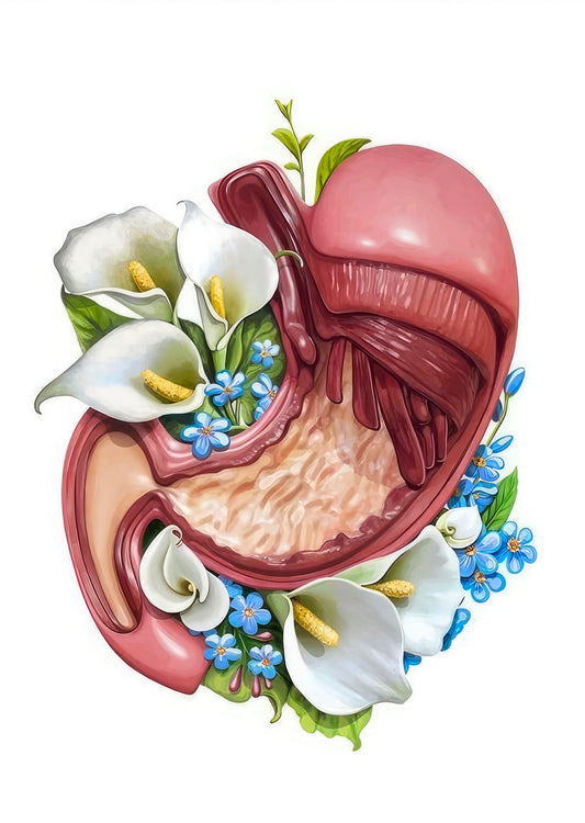 Gastro