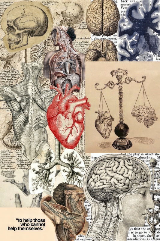 Collage